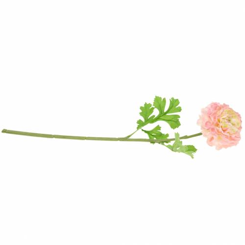 položky Ranunculus Pink V45 cm