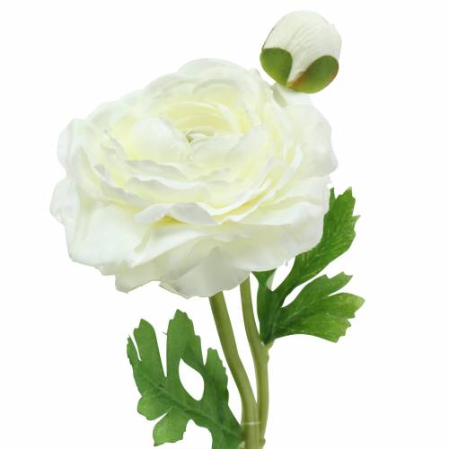 Floristik24 Umelý kvet ranunculus s kvetom a púčikom biely V34cm