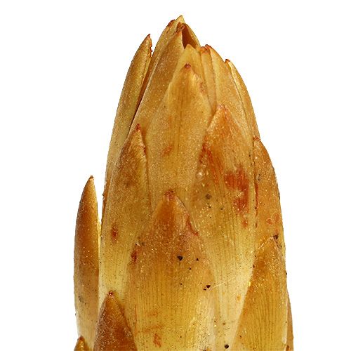 položky Repens krém malý 50 ks