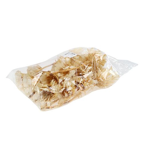 položky Repens rozeta bielená 8-9cm 20 ks