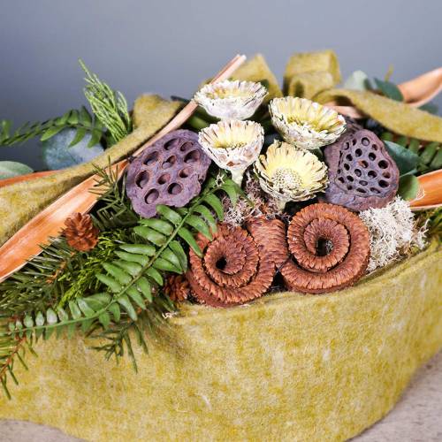 položky Repens rozeta zelená matná 8cm - 9cm 25 ks