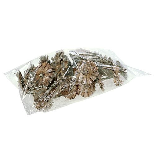 položky Repens rozeta 6-7cm biela praná 25 ks