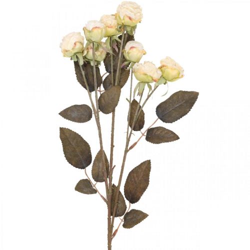 Floristik24 Umelé ruže zvädnuté Drylook 9 okvetných lístkov krémová 69cm