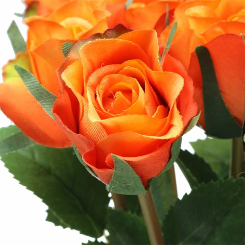 položky Rose Orange 42cm 12ks