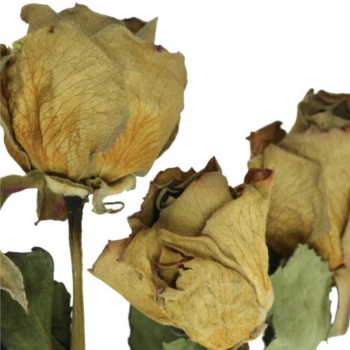 položky Sušená kvetinová ruža, Valentín, sušené kvetinárstvo, rustikálne dekoračné ruže žltofialové L45-50cm 5ks