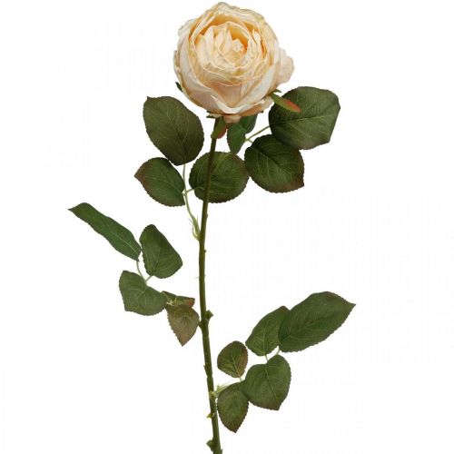 položky Ruža Krémový hodvábny kvet Umelá ruža L74cm Ø7cm