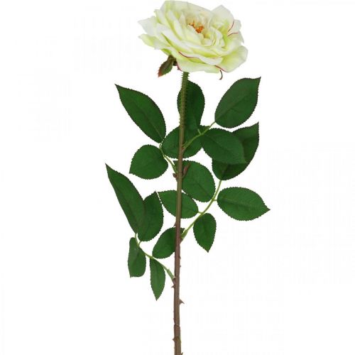 Floristik24 Umelá ruža, ozdobná ruža, hodvábny kvet krémovo biela, zelená L72cm Ø12cm