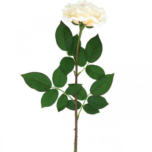 Krémovo biela marhuľová ruža, hodvábny kvet, umelé ruže L72cm Ø12cm