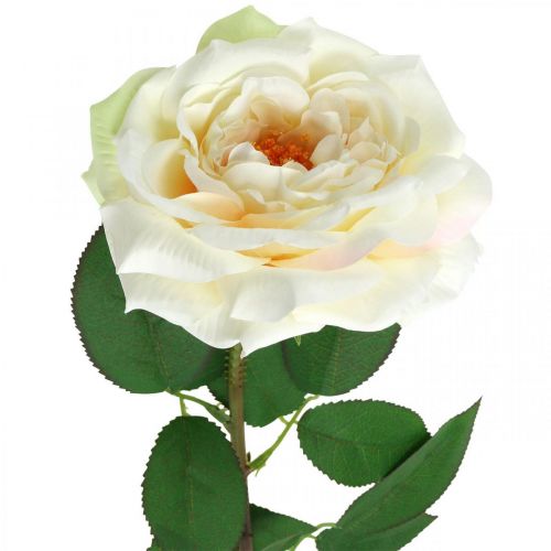 položky Krémovo biela marhuľová ruža, hodvábny kvet, umelé ruže L72cm Ø12cm