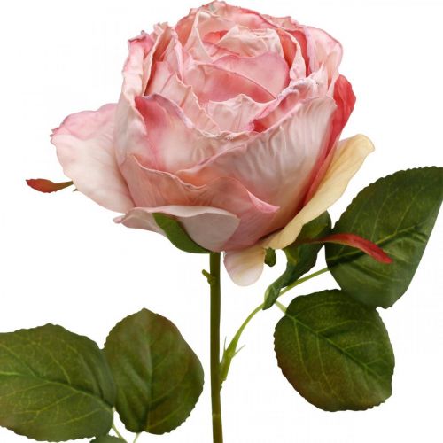 položky Deko ruža ružová, kvetinová dekorácia, umelá ruža L74cm Ø7cm