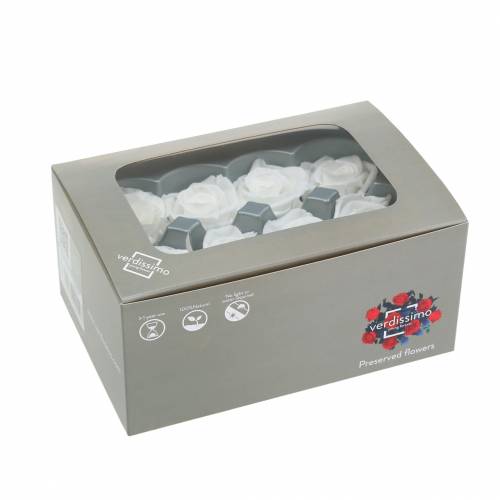 položky Konzervované ruže stredné Ø4-4,5cm biele 8 ks
