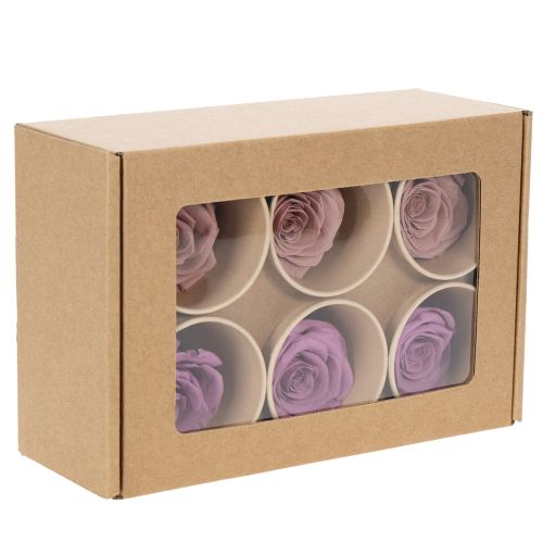 položky Konzervované ružové hlávky, romantický darček, dlhotrvajúce ruže na špeciálne príležitosti, 5 cm, 6 kusov