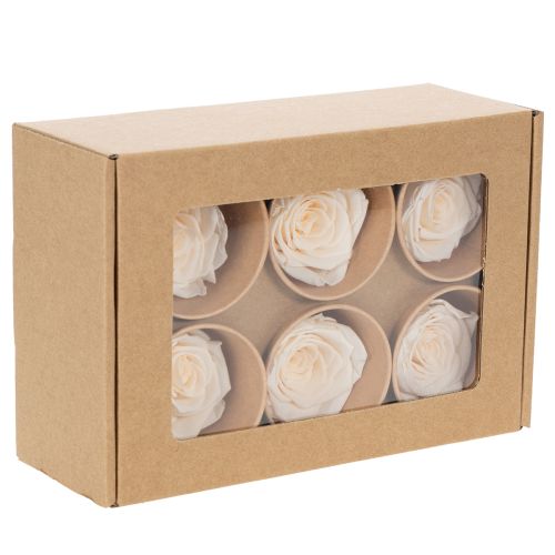 položky Ružové hlávky, konzervované kvety pre elegantné kvetinové aranžmány, 5 cm, 6 kusov