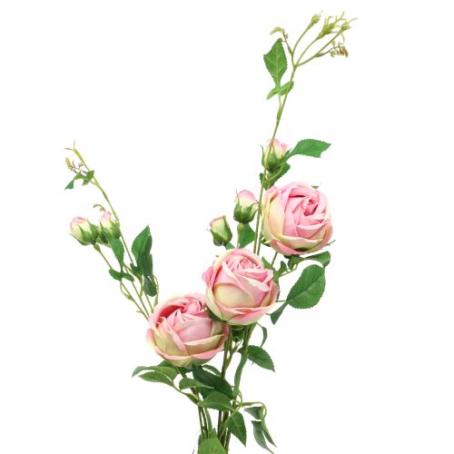 Floristik24 Konár ruže ružový 100cm
