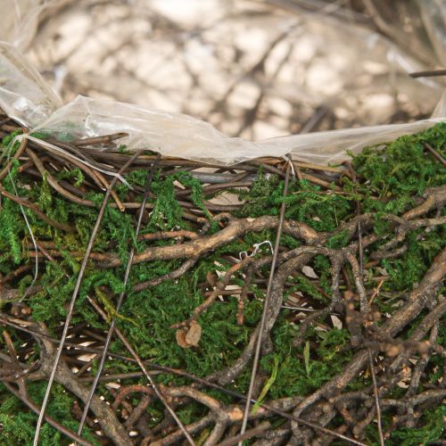 položky Okrúhla miska na výsadbu machu a popínavých rastlín, s fóliou, Ø20cm V7cm