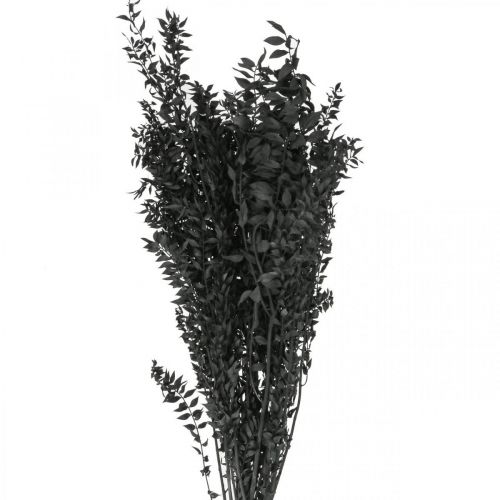 Floristik24 Ruscus konáre ozdobné konáre sušené kvety čierne 200g