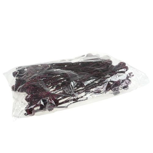 Floristik24 Salignum konáre so šiškami Berry 25 ks