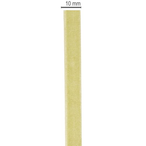 Dekoratívna zamatová stuha na kvetinárstvo a kreatívne projekty, 10 mm x 20 m | Floristik24.sk