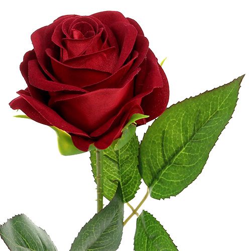 položky Zamatová ruža červená 65cm 6ks