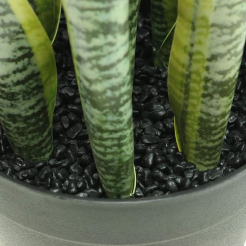 položky Sansevieria, umelý kvet, mašľa konope v črepníku V50cm Ø14cm