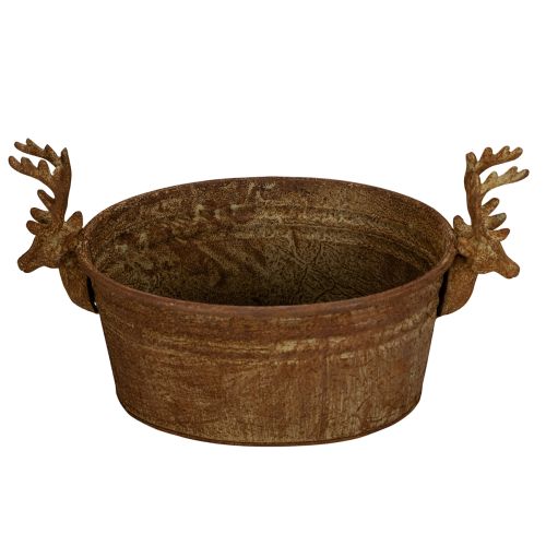 Dekoratívna misa, hlava soba, oválna, hrdzavo sfarbená, rustikálna, 41 cm | Floristik24.sk