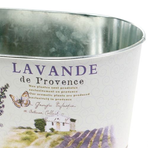 Floristik24 Miska na rastliny levanduľa oválna 22,5 cm x 13,5 cm V11 cm