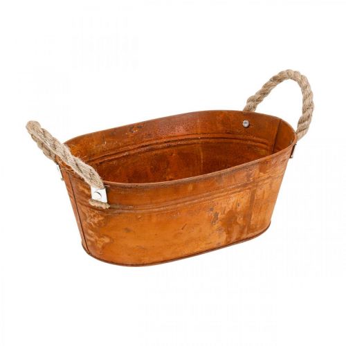 Floristik24 Kvetináč s rúčkami, miska na bylinky, jesenná dekorácia, patina D28cm V11cm