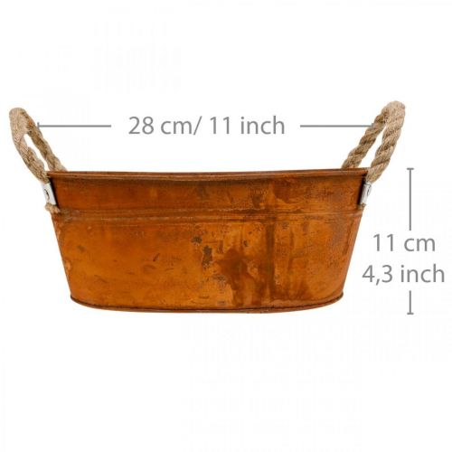 Floristik24 Kvetináč s rúčkami, miska na bylinky, jesenná dekorácia, patina D28cm V11cm