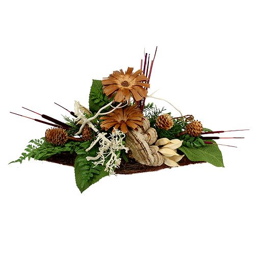 položky Reed Cob Mix hnedý 100 ks