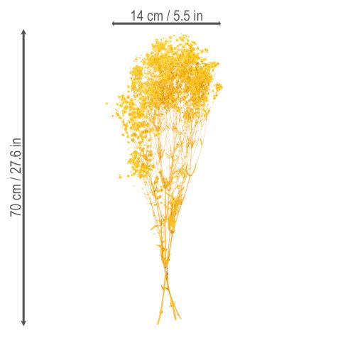 položky Kytica zo sušených kvetov s dychovkou. Dekoratívne kvitnúce konáre vhodné na sezónnu výzdobu stola. 70 cm