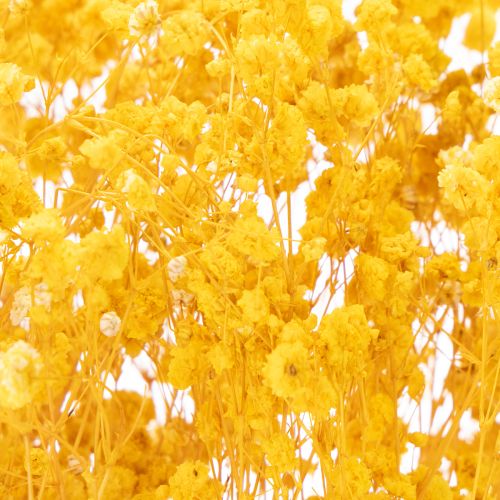 položky Kytica zo sušených kvetov s dychovkou. Dekoratívne kvitnúce konáre vhodné na sezónnu výzdobu stola. 70 cm