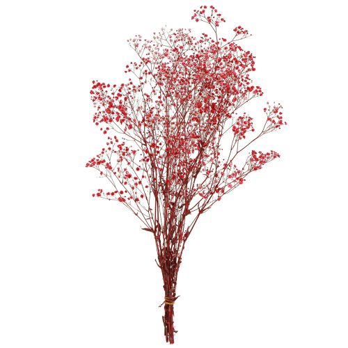 položky Gypsophila Gypsophila sušené kvety červené 50cm 55g