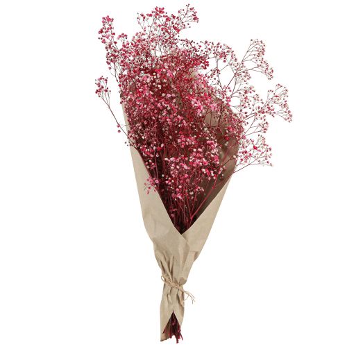 položky Gypsophila sadrovcová bylina v bobuli L50cm 55g