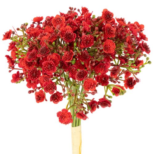 Umelý detský dych, červený, kytica ako kvetinová dekorácia, 30 cm, 10 kusov