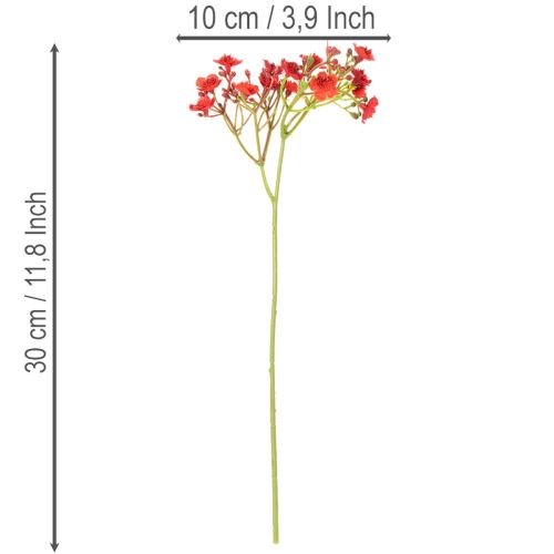 Umelý detský dych, červený, kytica ako kvetinová dekorácia, 30 cm, 10 kusov | Floristik24.sk