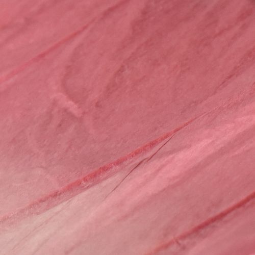 položky Veľká závesná dekorácia motýľa, elegantná nástenná dekorácia, 50 cm, 2 kusy