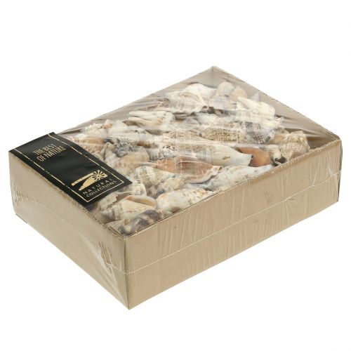 Floristik24 Slimačie ulity príroda 815g