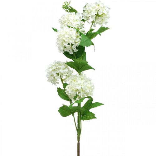 Floristik24 Snehová guľa Konár Umelá rastlina Hodvábny kvet Biely Ø6,5cm L78cm