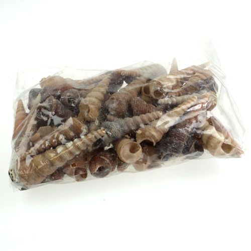 Floristik24 Terebra Turiella 1 kg