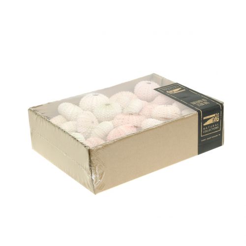 Floristik24 Morský ježko Ružová námornícka dekorácia 36 ks