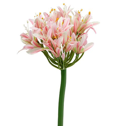 Floristik24 Hodvábny kvet Agapanthus Pink 80cm