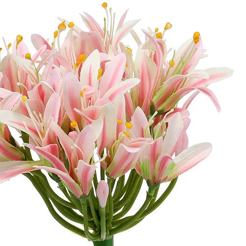 položky Hodvábny kvet Agapanthus Pink 80cm