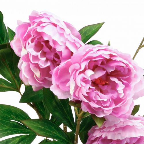 položky Hodvábny kvet pivonka umelá ružová fialová 135cm
