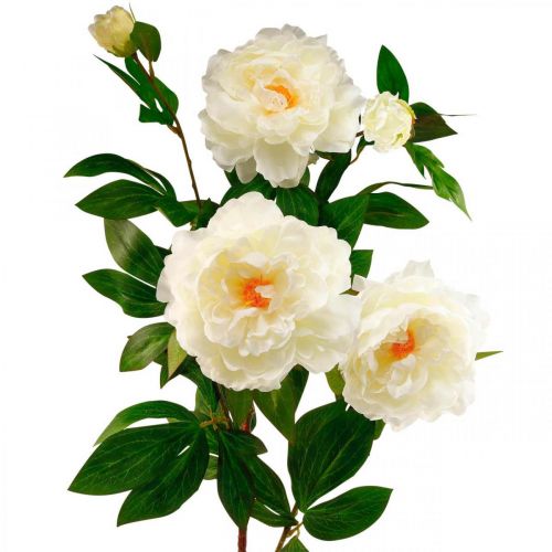 Floristik24 Hodvábny kvet pivonka umelá krémová biela 135cm