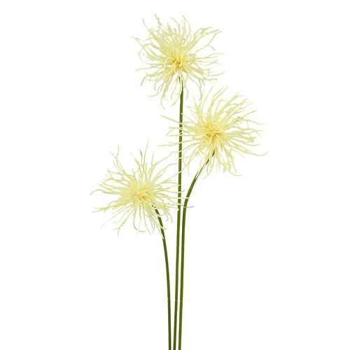 Floristik24 Hodvábne kvety xantium krém 63cm 4ks