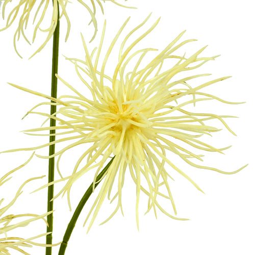položky Hodvábne kvety xantium krém 63cm 4ks
