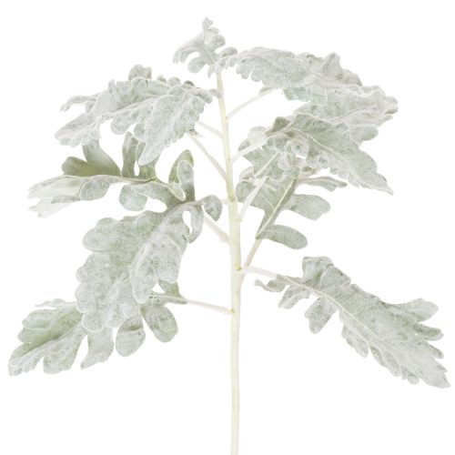 Umelá vetvička Senecio, strieborný list, prepracovaná výroba, 45 cm, 3 kusy kúpiť | Floristik24.sk