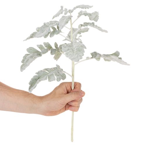 Umelá vetvička Senecio, strieborný list, prepracovaná výroba, 45 cm, 3 kusy | Floristik24.sk