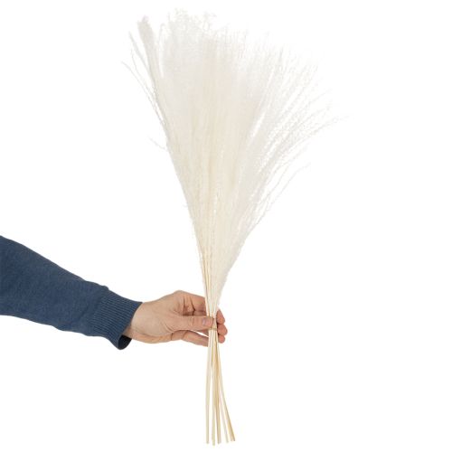 položky Sušené kvety, strieborná tráva. Elegantná prírodná dekorácia do domácnosti a kancelárie. 70 cm, 10 kusov.