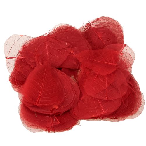 položky Dekoratívne listy s kostrou Bodhi pre kvetinárstvo a remeslá